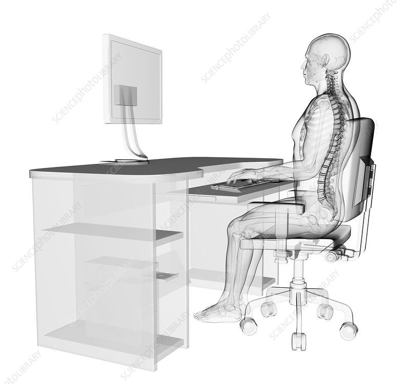 What is posture?