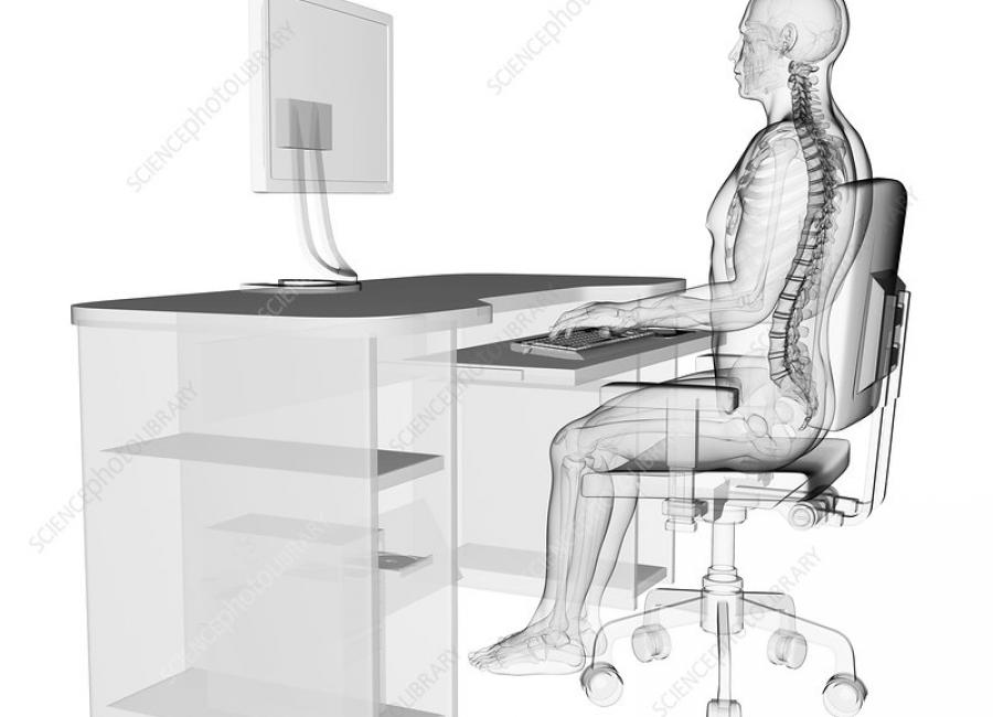 What is posture?